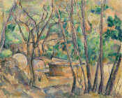 Paul Cézanne - Millstone and Cistern under Trees (La Meule et citerne en sous-bois), 1892-1894